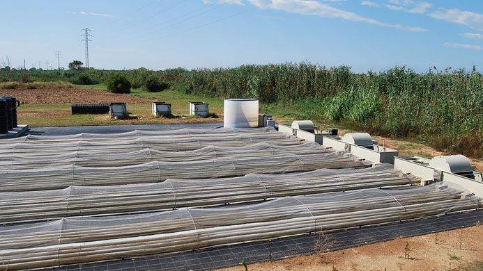 1-upc|2-upc|3-upc|4-upc|5-upc